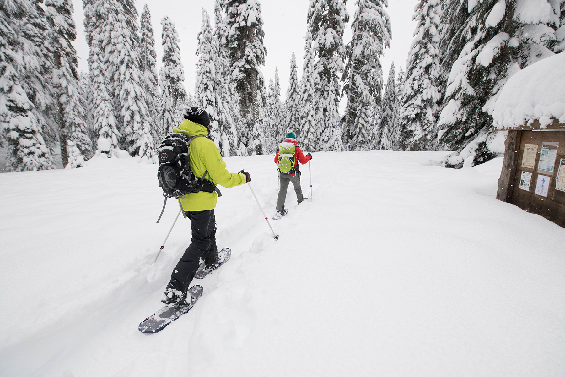 How to Snowshoe Safely 8 Tips from an Expert in the Field MSR Blog