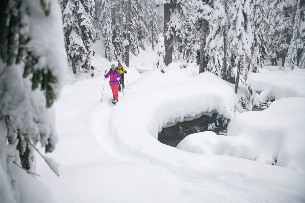 snowshoe-sizing-how-to-pick-your-perfect-length-the-summit-register